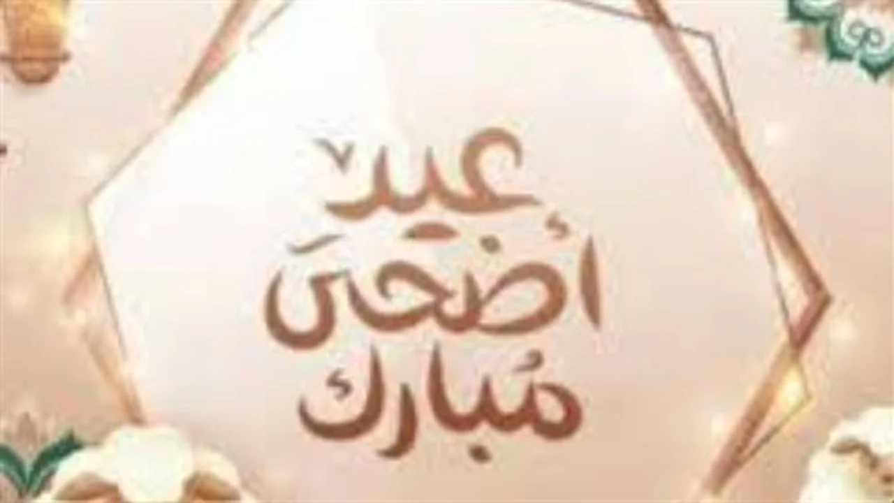 عيد أضحى مميز.. أفلام درامية وكوميدية لقضاء الإجازة الممتعة